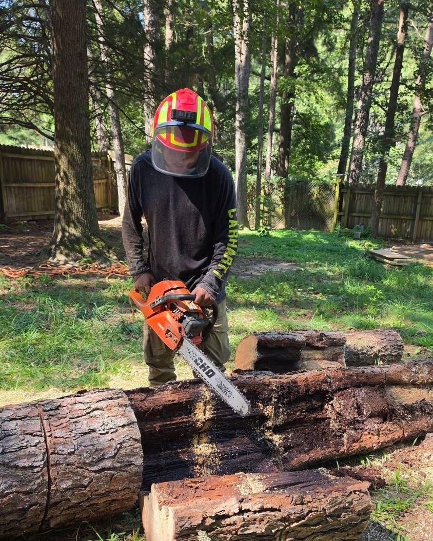 Crew member in a helmet and face shield cutting logs with a chainsaw