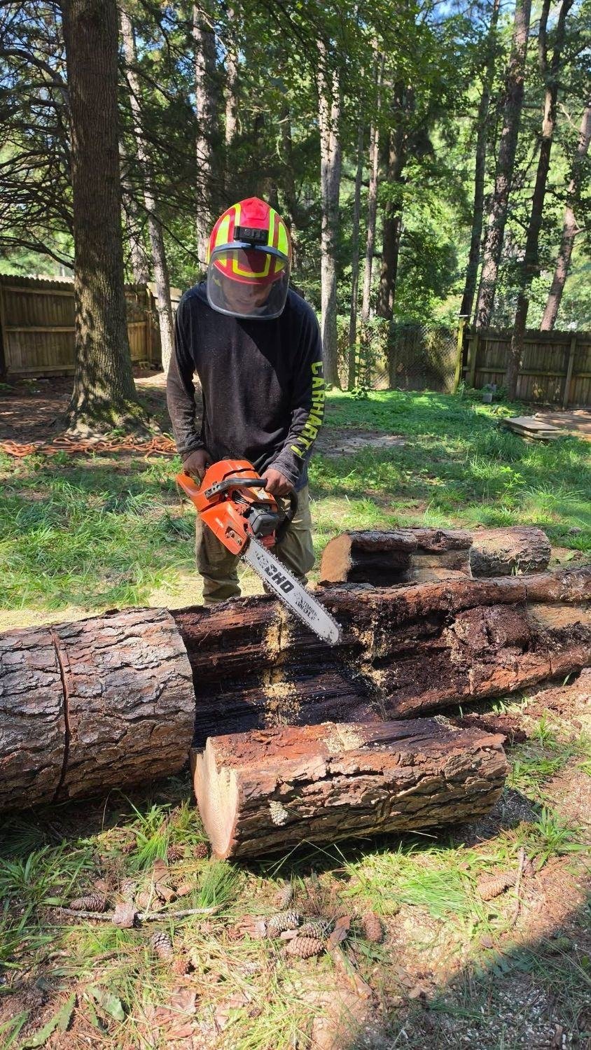 Crew member in a helmet and face shield cutting logs with a chainsaw